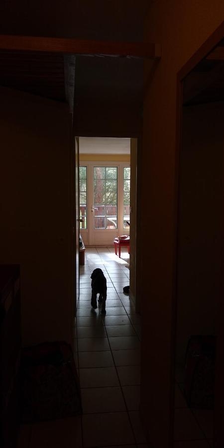 Albertine Appt 112 Moliets-et-Maa Bagian luar foto